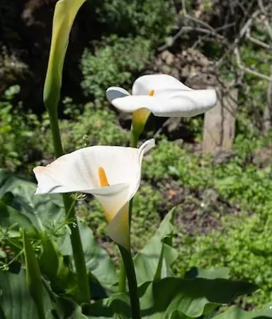 Casa El Monte Dom wakacyjny