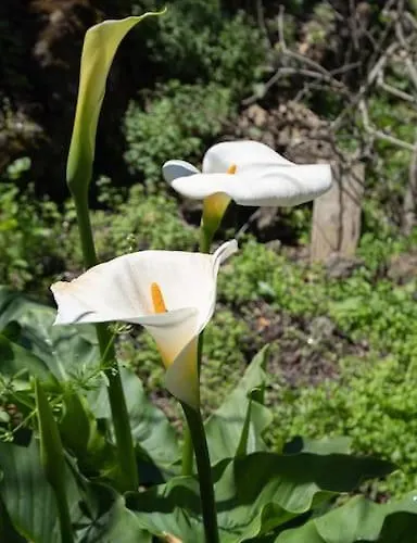 Casa El Monte Casa de Férias